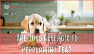 are dogs allergic to peppermint tea