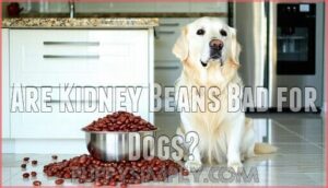 are kidney beans bad for dogs