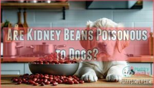 are kidney beans poisonous to dogs