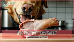 are pig trotters safe