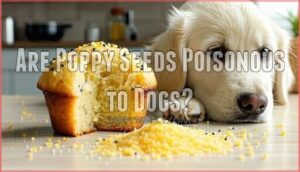 are poppy seeds poisonous to dogs