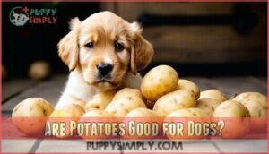 are potatoes good for dogs