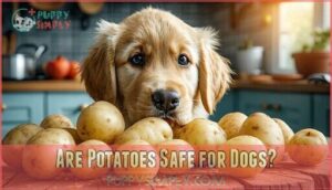 are potatoes safe for dogs