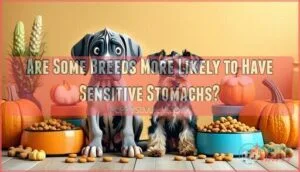 are some breeds more likely to have sensitive stomachs are some breeds more likely to have sensitive stomachs