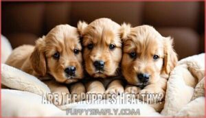 are the puppies healthy