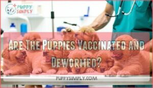 are the puppies vaccinated and dewormed