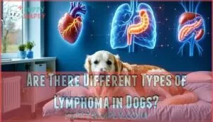 are there different types of lymphoma in dogs