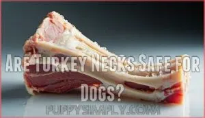 are turkey necks safe for dogs