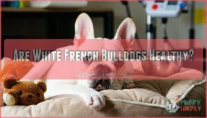 are white french bulldogs healthy