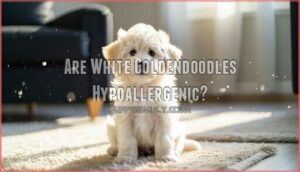 are white goldendoodles hypoallergenic