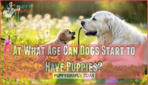 at what age can dogs start to have puppies