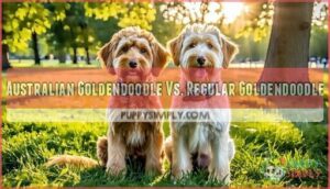 australian goldendoodle vs. regular goldendoodle