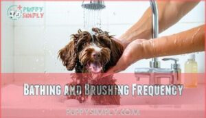 bathing and brushing frequency