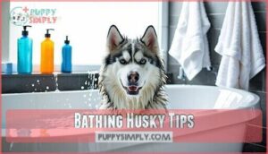bathing husky tips