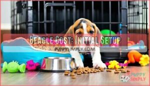 beagle cost: initial setup