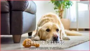 behavior changes