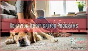 behavior modification programs