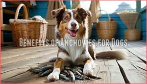 benefits of anchovies for dogs