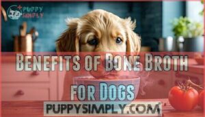 benefits of bone broth for dogs