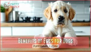 benefits of eggs for dogs