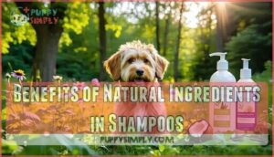 benefits of natural ingredients in shampoos