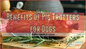 benefits of pig trotters for dogs