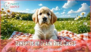 benefits of plain rice cakes