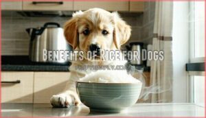 benefits of rice for dogs