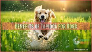 benefits of tapioca for dogs
