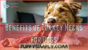 benefits of turkey necks for dogs