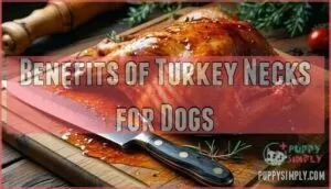 benefits of turkey necks for dogs