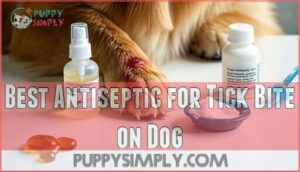 best antiseptic for tick bite on dog