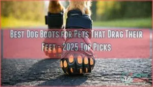 best dog boots for pets that drag their feet