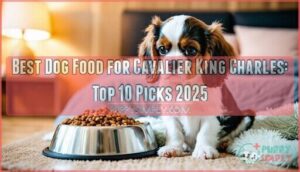 best dog food for cavalier king charles