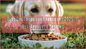 best dog foods for labradors