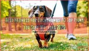 best harness for dachshunds