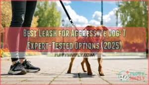 best leash for aggressive dog