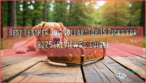 best leather dog collar