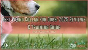 best prong collar for dogs