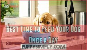 best time to feed your dog once a day