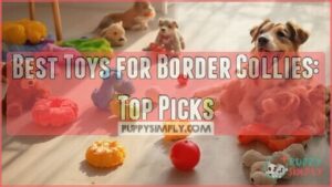 best toys for border collies