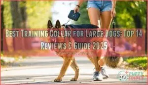best training collar for large dogs