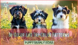 bi-color and tri-color patterns