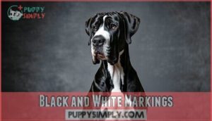 black and white markings