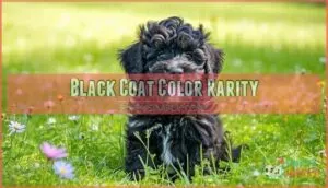 black coat color rarity