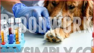 bloodwork