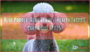 blue poodle