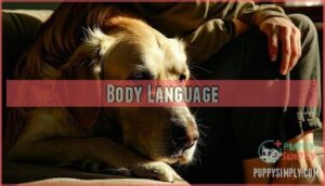 body language