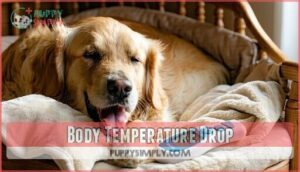 body temperature drop