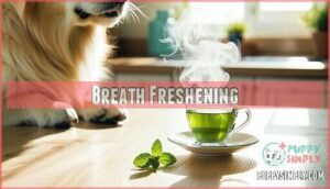 breath freshening